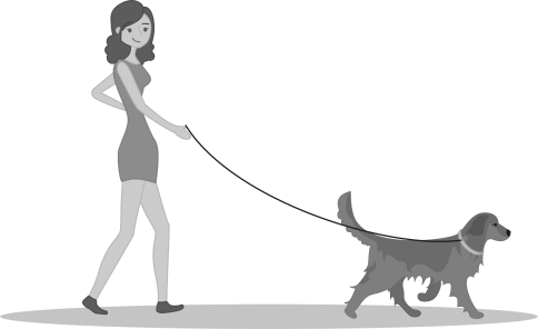 Dog Walking